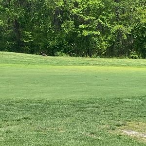 Meet your Posher, Leigh amber